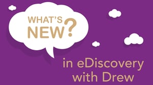 illustration of conversation bubble and eDiscovery with Drew title